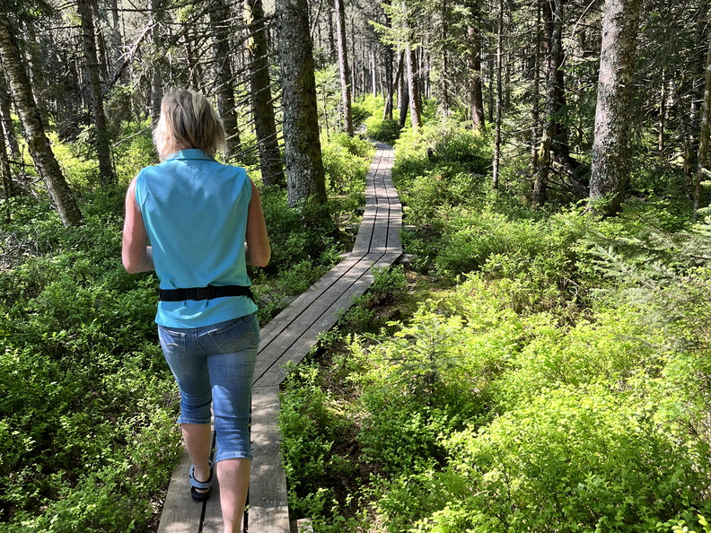 23-05-27 10-54-56 5722